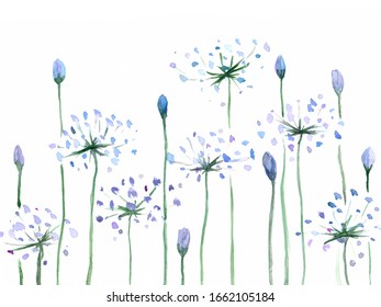 Blue and Violette Flowers on the Meadow Watercolor Illustration
