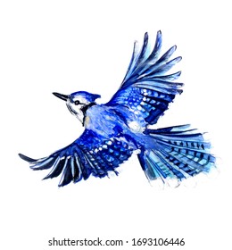 Blue Watercolor Bird Jay In Flight