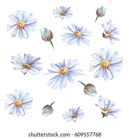 Blue Watercolor Daisies On White Background