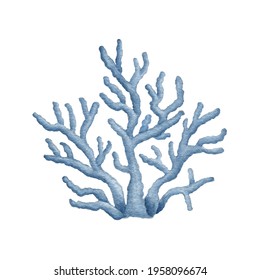 Blue watercolor Ocean Coral branch. Hand drawn realistic Underwater Seaweed. Coral Reef object, plant. Sea Life illustration. Hand drawn Marine element isolated on white background for print design
