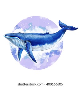 The Blue Whale