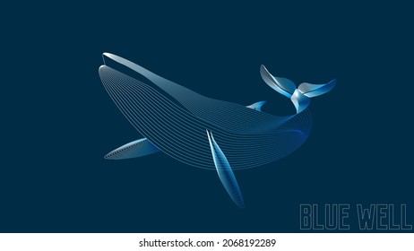 The Blue Whale Is A Marine Mammal Belonging To The Baleen Whale Parvorder Mysticeti. Reaching A Maximum Confirmed Length Of 29.9 Metres And Weighing Up To 199 Tonnes