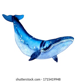 Blue  whale  Summer mood  sea  ocean  Sea   ocean creatures in blue tones  For the design invitations  children's albums  textiles  thieves  scrapbooking 
