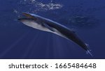 Blue whale underwater close to the sea surface chasing school of fish side view 3d rendering