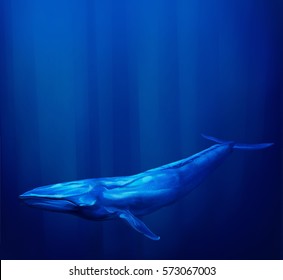 Blue Whale Underwater With Streams Of Sunlight.
