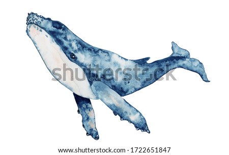Blue whale watercolor illustration. Hand drawn painting, isolated on white background.
