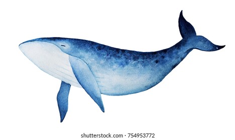 Blue whale watercolor illustration. Spirit animal, totem, wisdom holder, history keeper, peaceful strength, inner truth, creativity, emotional rebirth. Hand drawn painting, isolated, white background.