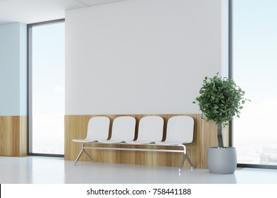 Blue And Wooden Hospital Lobby With Windows And White Chairs For Patients Waiting For The Doctor Visit. A Potted Tree. 3d Rendering Mock Up