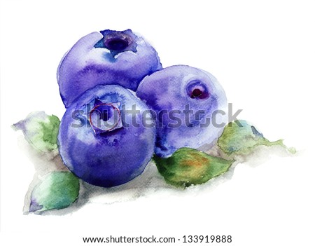 Blueberries with leaves, watercolor illustration
