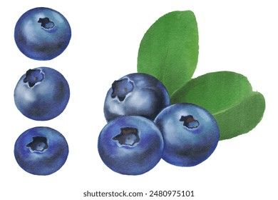 blueberry berry fruit for health dessert - Powered by Shutterstock