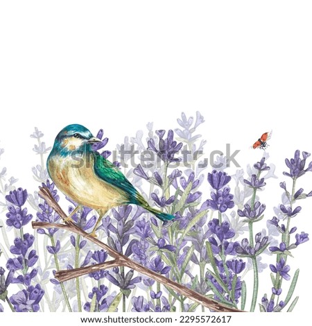 A bluebird is sitting on a branch against a background of lavender flowers. Watercolor illustration in the Provencal style. Botanical illustration of Provencal plants. Suitable for postcards, design