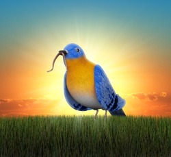 Bluebird Standing In Green Grass, Catching The Worm As The Sun Rises Behind Him