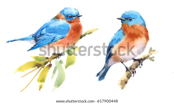 白い背景に青い鳥2鳥の水彩色の手描きのイラストセット のイラスト素材