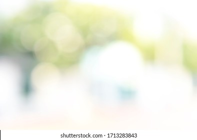Blur and abstract of nature background