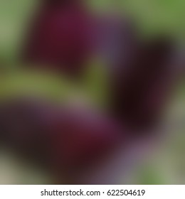 blur background