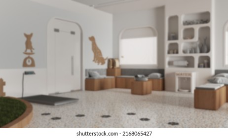 Blur Background, Veterinary Clinic Waiting Room. Sitting Area With Benches, Bookshelf, Water Cooler And Weight Scale. Play Garden With Grass For Pets, Interior Design Idea, 3d Illustration