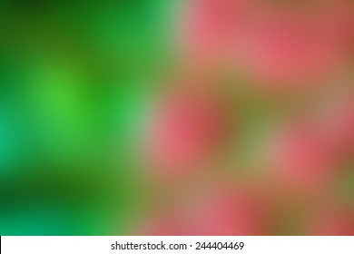 blurred background