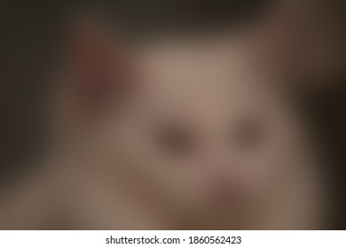 Blurred gradient background. Abstract background, blur background.