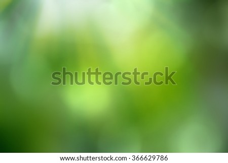 blurred spring background with bokeh effect