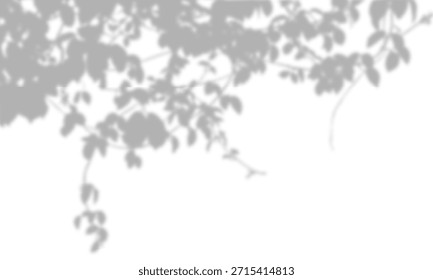 Blurry soft gray leaf shadow overlay with hanging vines and branches. Ideal for realistic mockups, minimalist background designs, and nature-inspired aesthetics with ample copy space.
