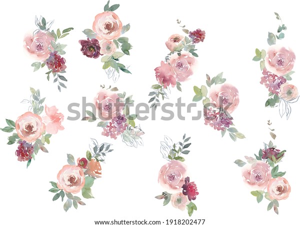 白い背景に赤いバーグンディ マルーンの牡丹バラの水色の花柄 水彩花 花柄の水彩イラスト 美しい作文 繊維 壁紙のデザイン のイラスト素材