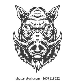 Boar head in black and white color style.  illustration