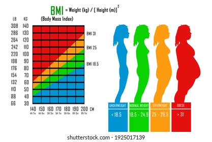 29 bmi Body mass