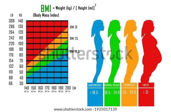 3d body mass index calculator