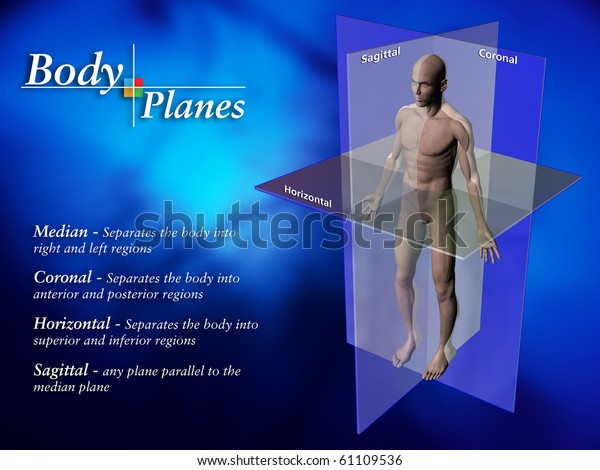 Body Planes Stock Illustration 61109536