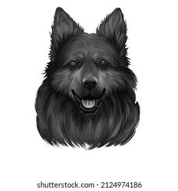 Bohemian Shepherd, Chodsky Pes, Chodenhund, Czech Sheepdog, Bohemian Herder Dog  Illustration Isolated On White Background. Czech Republic Origin Hunting Dog. Cute Pet Hand Drawn Portrait