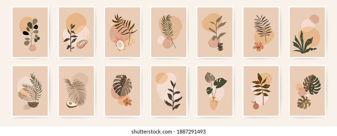 Boho aesthetic abstract botanical wall art poster prints. Scandinavian design, neutral natural colors. Bohemian collage wall prints. Mid Century Modern design. Plant fruit posters vintage illustration - Powered by Shutterstock