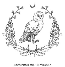 Boho birds illustration. Hand-drawn owl. Line-art. Floral composition. Vintage element. Wiccan and pagan art. Decorative nature. Isolated on white