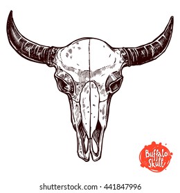 Boho Buffalo Skull Hand Drawn Sketch