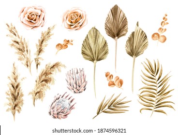 Boho dried flowers and palm leaves set. Hand drawn watercolor illustration isolated on white background - Powered by Shutterstock