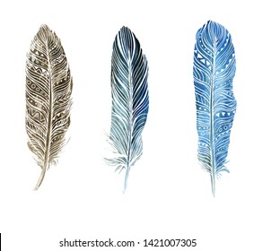 Boho Style Isolated Feathers On White Stock Illustration 1428923177 