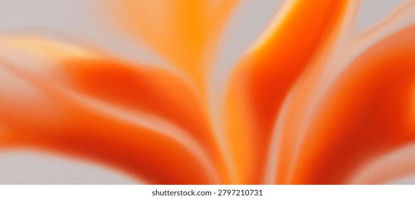 A bold dramatic lo-fi background featuring soft organic folds and a blurry macro flora petals aura blending vibrant fiery orange and warm terracotta red tones on a light gray base, finished with a velvet matte surface and dense grainy noise texture.