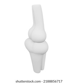 Bone 3D rendering isometric icon.
