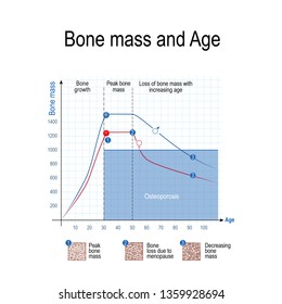 Bone Mass Chart
