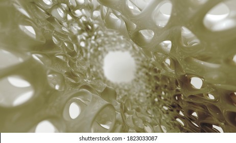Knochenschwamm-Strukturgrafik - 3D-Rendering