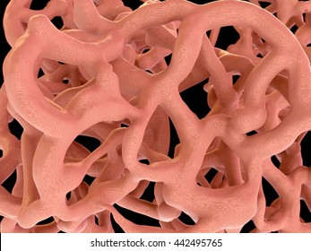 Bone Tissue - 3d Rendering