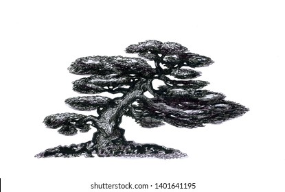 Bonsai Coniferous Sloping Ink Drawing Stock Illustration 1462204922 ...