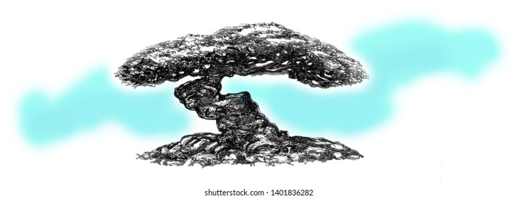 Bonsai Coniferous With Sprawling Branches. Drawing Ink.