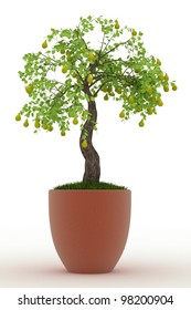 Bonsai Pear Tree In In Pot Isolated Over White