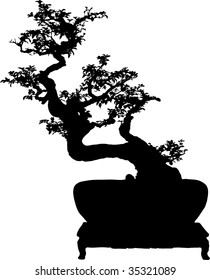 Bonsai Silhouette