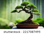 bonsai tree  fresh and well formed  Asian botanical  Japanese houseplant 3d illustration