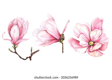 18,454 Magnolia Watercolor Images, Stock Photos & Vectors | Shutterstock