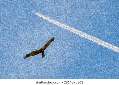  The booted eagle (Hieraaetus pennatus) is a medium-sized mostly migratory bird of prey