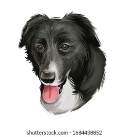 可愛い犬の動物を描いたボラドールのデジタルアートイラスト ラブラドール レトリーバーとボーダー コリー の手描きのポートレート 口と舌を開けた犬の鼻口部を横切って作った雑種犬 のイラスト素材 Shutterstock