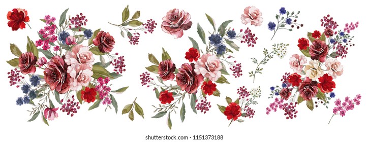 Bordeaux and pink roses, blue, red flowers. Watercolor, Botanical illustration.Flower arrangements of pink roses, colorful leaves, wild herbs. A set of bouquets, twigs, floral elements.