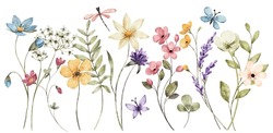 Border Banner With Watercolor Wildflowers. Floral Decoration. Hand Drawing.
